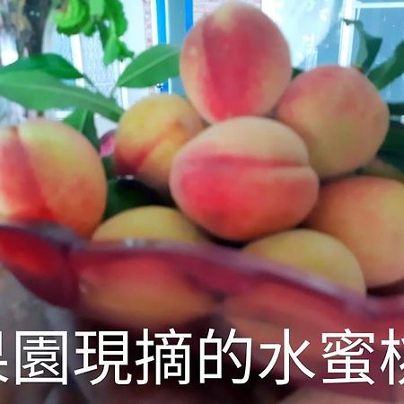 Taitung Linyuan B&B Donghe Esterno foto