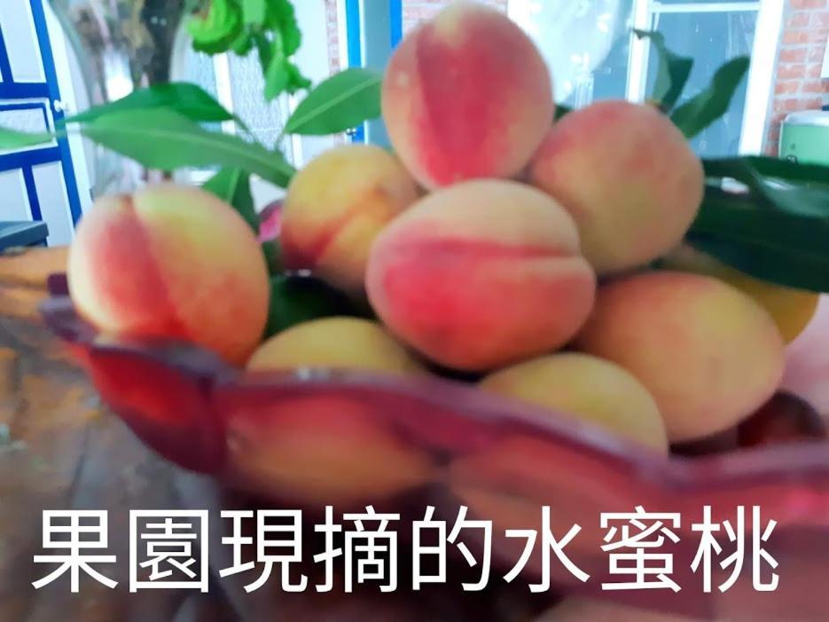 Taitung Linyuan B&B Donghe Esterno foto