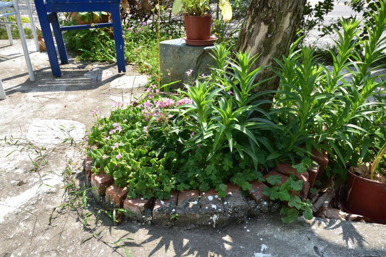 Taitung Linyuan B&B Donghe Esterno foto
